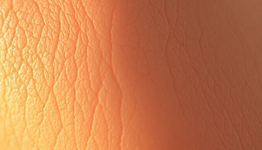 The 6 Best Ingredients for Oily Skin