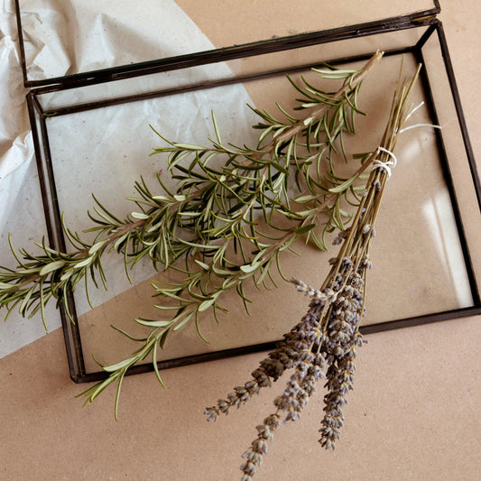 Oway Agricosmetic Laboratories - Skin Mind Beauty Hair