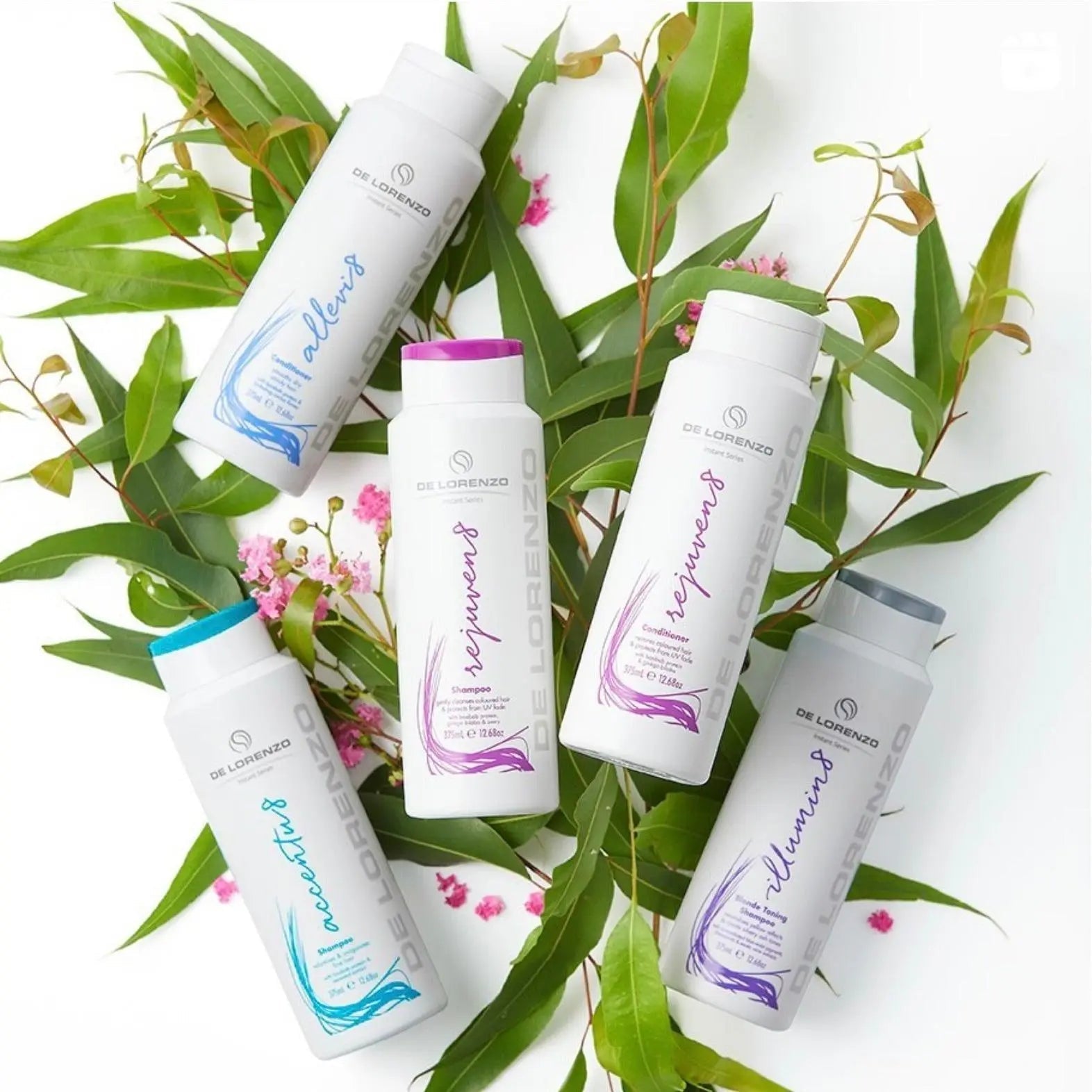 De Lorenzo | All Products - Skin Mind Beauty Hair